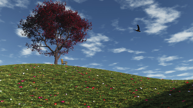 On top of a hill covered with green grass and colorful primroses, against a blue sky with wisps of cloud, a solitary red Japanese maple stands with a wooden bench under it to stop and rest on. A lone eagle soars by on the wind.