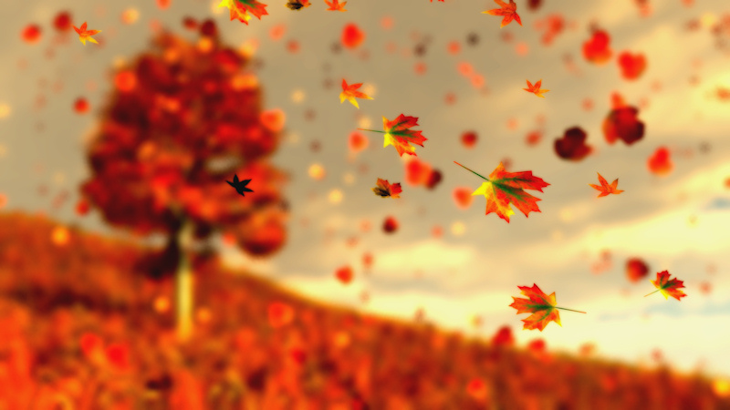 Against the backdrop of a lone maple in a hillside, bright orange and yellow autumn leaves float on the breeze.