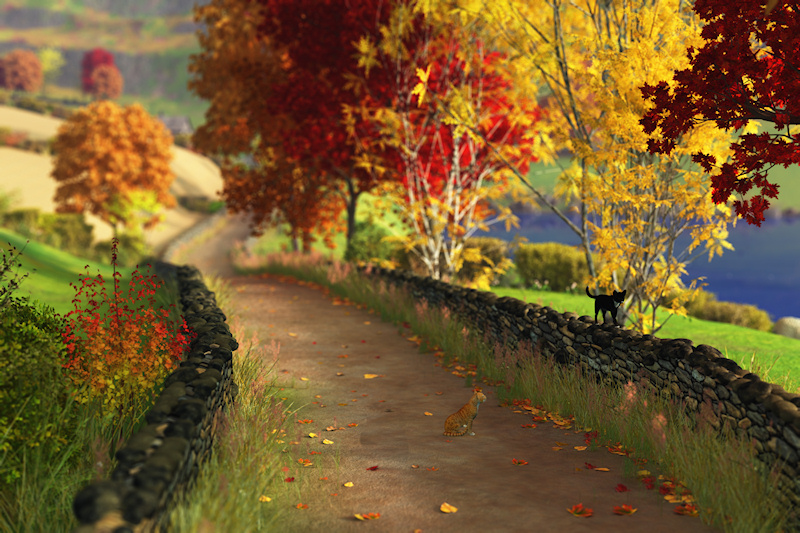 Autumn in the Glen