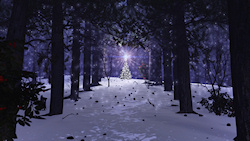 A sparkling Christmas tree in a snow-covered pine forest on a winter's evening....