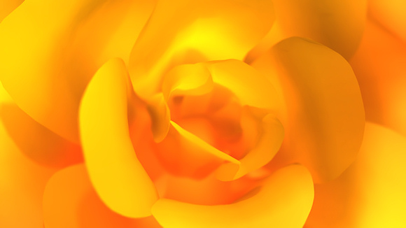 A 3D closeup created in Vue, of a fiery yellow rose, its translucent gold and orange petals glowing in the warm sunlight. The sunny cheerfulness of the yellow rose is often used to symbolize friendship and warm affection.
