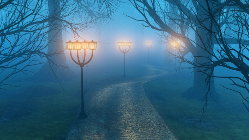 Four glowing lamps on four lampposts shine through dense fog, illuminating a winding path through the shadows and bare banches of winter trees.