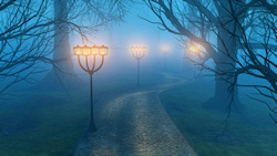 Four glowing lamps on four lampposts shine through dense fog, illuminating a winding path through the shadows and bare banches of winter trees....