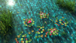 On a shallow pond pond with clear turquoise water are floating pink waterlilies with green and bronze leaves. The sun reflecting on the water sends th...