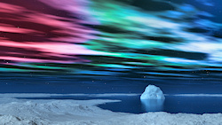 In the bay of a frozen land a great iceberg floats in the cold blue sea. Snowflakes and stars speckle the scene, and in the sky overhead the aurora gl...
