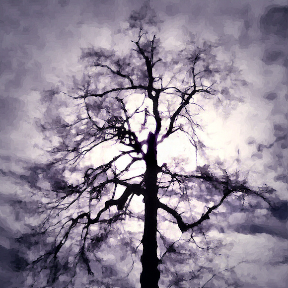 A photograph of a winter tree with the sun behind it, digitally manipulated to look like a fantastical specter with its hand upraised,
the bright light shining through the branches and darker grey and lavender clouds swirling around the 'fingers'.
