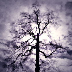 A photograph of a winter tree with the sun behind it, digitally manipulated to look like a fantastical specter with its hand upraised,
the bright lig...