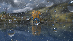 A short-focus render of a dark, rainy day in a northern mountain glen. In the background are grey-brown hills and a willow tree with its yellow fall l...