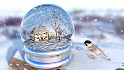 Inside a snow globe is a winter landscape with a cottage overshadowed by bare maple and cherry trees. Snow glitters on the lawn, holly bushes covered ...