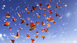 A stream of jewel-bright butterflies whirling through the blue summer sky amid a cloud of dandelion seeds, with a pair of dragonflies buzzing alongsid...