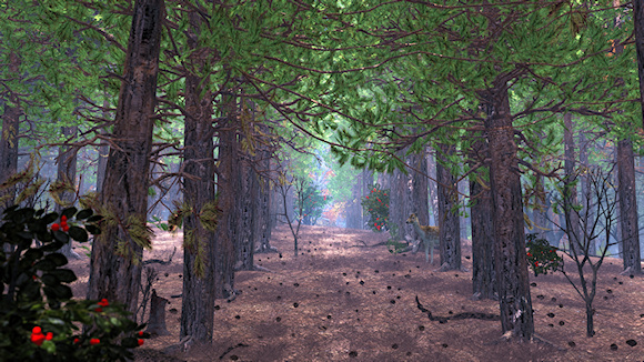 Aisles of pines in the light of a cold morning.