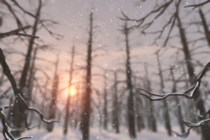 A pale winter sun sets behind towering larch trees like dark sentinels. Their gnarled branches, bare except for a dusting of snow, and the pastel golds, pinks, and blues of the sunset sky are seen as through a dreamy haze. In the foreground snowflakes are softly falling.