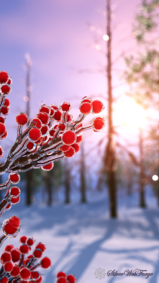 Winterberry in Ice | SilverWebForge